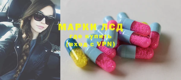 круглые Аркадак
