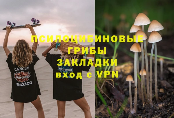 круглые Аркадак