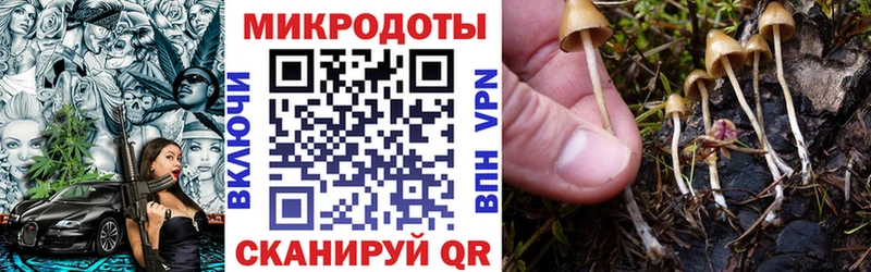 Псилоцибиновые грибы GOLDEN TEACHER  площадка телеграм  Пыталово  хочу  